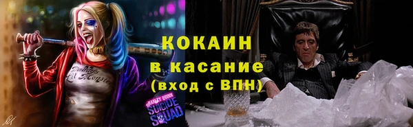 дживик Вязьма