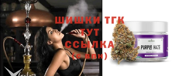 дживик Вязьма