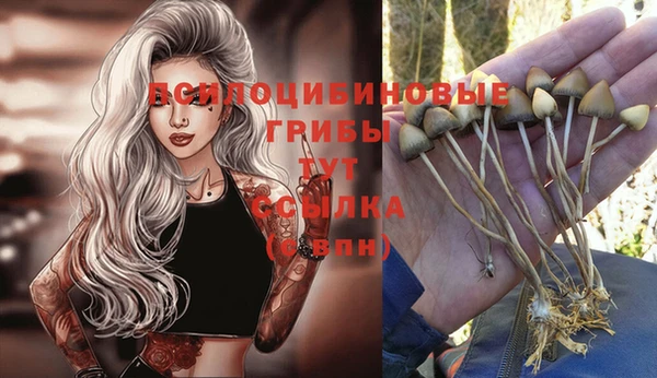 МДПВ Вязники
