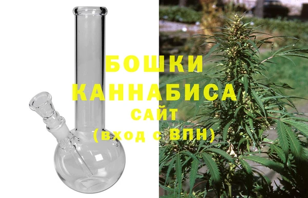 дживик Вязьма