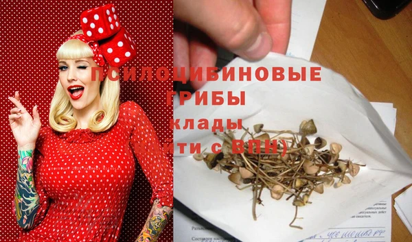 МДПВ Вязники